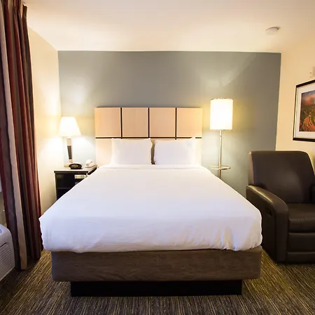 Sonesta Simply Suites Austin South-2